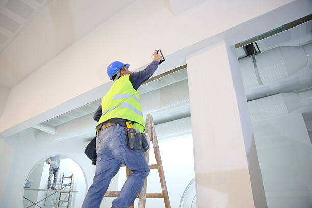 Best Attic Mold Removal  in Providence Village, TX